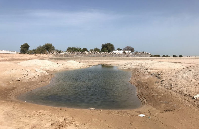 بلدية أبوظبي تنجز أعمال تسوية أكثر من( 700,000) متر مربع من الأراضي و دفان ( 161)  قطعة أرض