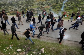 نشطاء يكافحون لإبقاء غور الأردن بيد الفلسطينيين