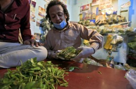 أسواق القات مزدهرة في صنعاء رغم تهديد كورونا