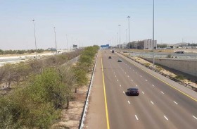 بلدية مدينة أبوظبي تقلّم وتجمّل أكثر من 13 ألف شجرة لتعزيز المظهر الجمالي للشوارع