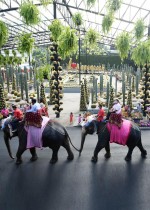 أزواج يركبون الأفيال خلال احتفال بعيد الحب في حديقة نونج نوش الاستوائية في مقاطعة تشونبوري، تايلاند. رويترز