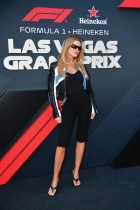 عارضة الأزياء والممثلة بروكس نادر تصل إلى حلبة لاس فيغاس ستريب لحضور سباق الجائزة الكبرى. ا ف ب