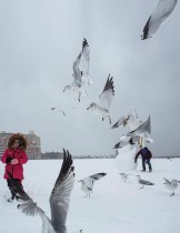 أطفال يلعبون في الثلج خلال عاصفة شتوية بينما يطير حولهم طيور النورس في شاطئ برايتون، نيويورك. رويترز