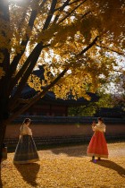 زائرتان ترتديان زي الهانبوك الكوري التقليدي لالتقاط صور تحت أوراق الجنكو الصفراء بفناء قصر جيونج بوكجونج في سيول.ا ف ب
