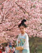 طفلة ترتدي ملابس صينية تقليدية لالتقاط صور تحت أزهار الكرز في نانجينغ بمقاطعة جيانغسو شرق الصين. ا ف ب