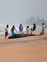 أشخاص ينظرون إلى حوت ضخم ميت بعد أن تقطعت به السبل على أحد الشواطئ في بانادورا، سريلانكا.رويترز
