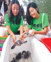 متطوعون يعدّون صغار السلاحف ذات منقار الصقر التي تم إنقاذها من الحيوانات المفترسة، ليتم إطلاقها في البحر، في بالي، إندونيسيا.  رويترز