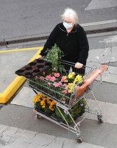 امرأة ترتدي قناع وجه تدفع عربة تسوق بالزهور أمام متجر DIY في فيينا ، النمسا، بعد إغلاق للحد من انتشار فيروس كورونا الجديد.  (ا ف ب)