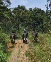 ماهوت يركبون أفيال سومطرة خلال دورية حرس في غابة في بينير مريا ، إقليم أتشيه الإندونيسي. ا ف ب