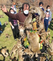 القرود تقفر على أحد المنظمين أثناء تناول الفاكهة خلال مهرجان القرود السنوي، الذي استؤنف بعد توقف دام عامين بسبب جائحة COVID-19 ، في مقاطعة لوبوري ، تايلاند.  رويترز