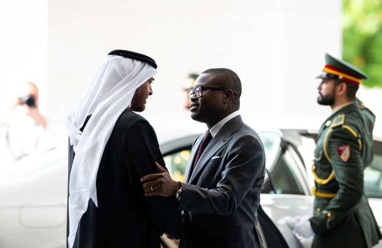 رئيس الدولة يؤكد اهتمام الإمارات بتعزيز تعاونها في المجالات التنموية مع دول القارة الإفريقية 