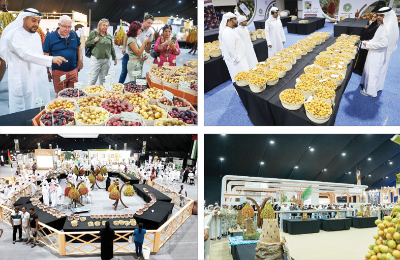مهرجانات الرطب .. احتفاء بتراث النخيل ورؤية زايد ودعامة للأمن الغذائي والسياحة 