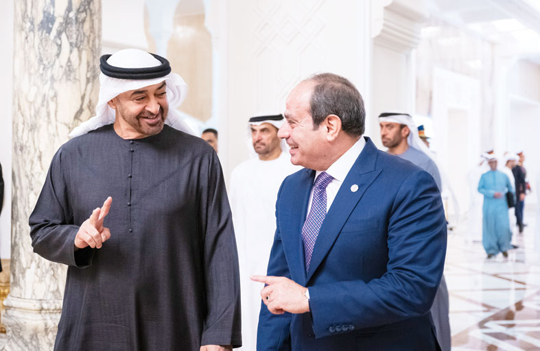 رئيس الدولة والرئيس المصري يؤكدان أن حل الدولتين هو المسار الوحيد لتحقيق السلام بالمنطقة 