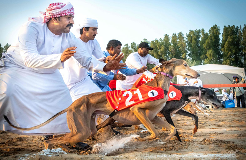 بطولة السلق تختتم الأشواط التمهيدية وتعلن المتأهلين للنهائيات 