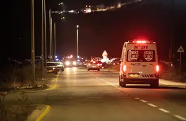 هاليفي: هجوم حزب الله على بنيامينا صعب ومؤلم