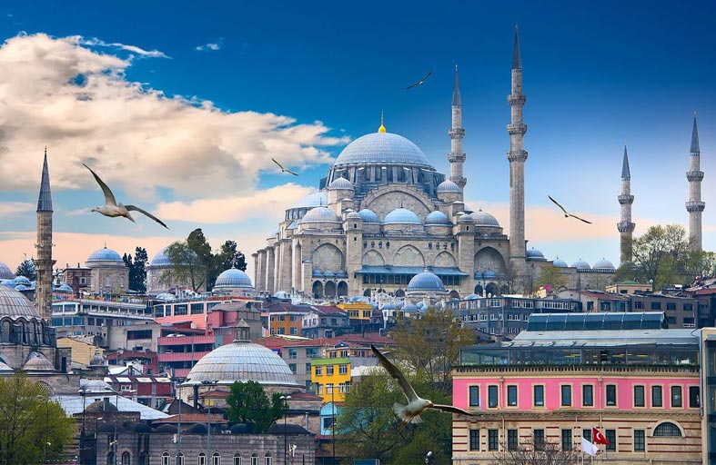 هل تنجو منارة الحوكمة من مخططات أردوغان؟