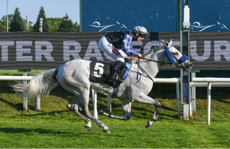 اليوم.. 8 خيول تشارك في كأس  «الوثبة ستاليونز» ببريطانيا