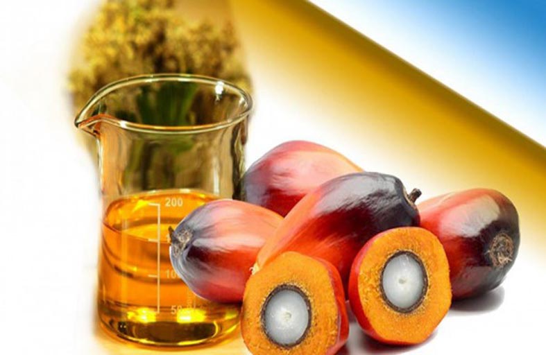 متى يكون زيت النخيل غير ضار؟