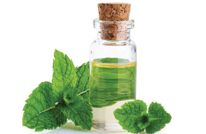 زيت النعناع 
