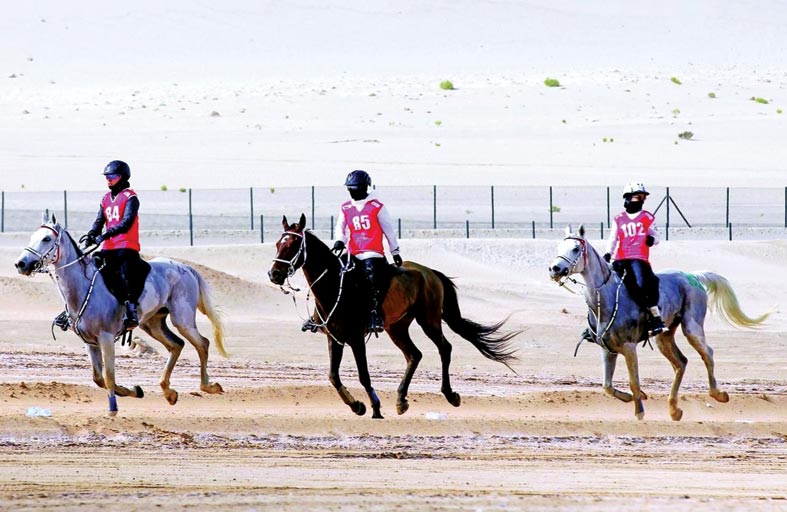 اكتمال الاستعدادات لانطلاق مهرجان أبوظبي للقدرة تحت رعاية منصور بن زايد