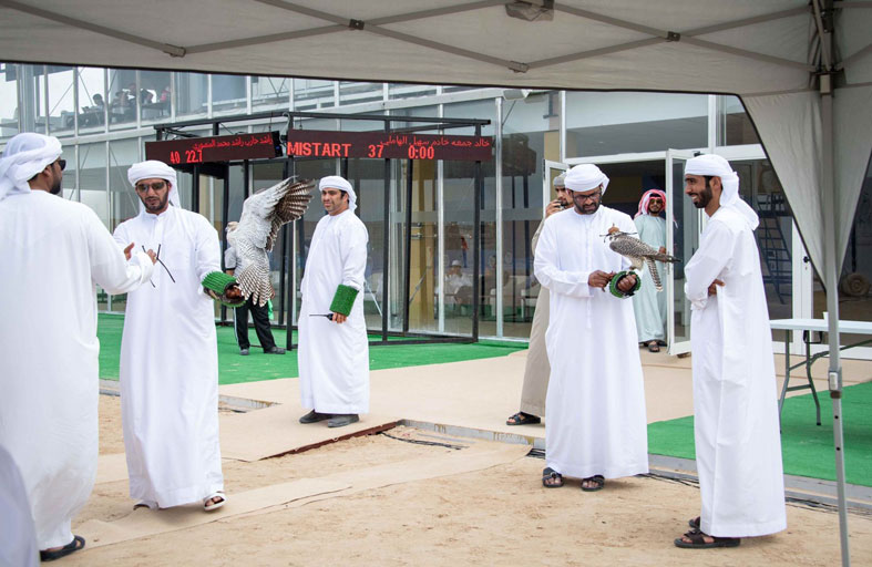 «كأس محمد بن راشد لسباقات الصقور» ينطلق بمشاركة 3000 طير بمجموع جوائز 23 مليون درهم