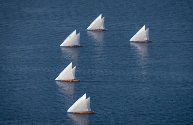 122 محملاً تشارك في سباق دلما التاريخي  للمحامل الشراعية فئة 60 قدما