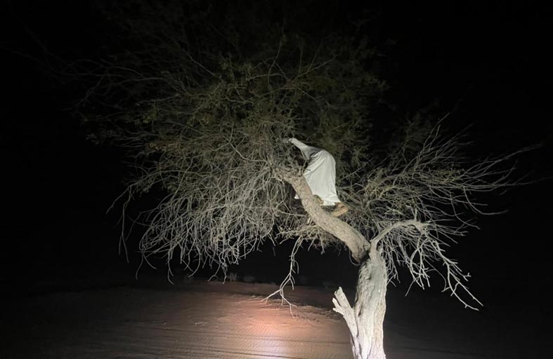 فرق هيئة البيئة والمحميات الطبيعية بالشارقة تضبط وتصادر 1460 جهاز إصدار أصوات الطيور المحظورة في موسم الرجوع