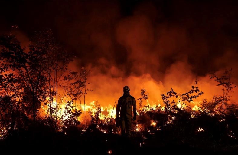 خلية استدلال جنائي تحقق في ملابسات الحرائق في فرنسا 