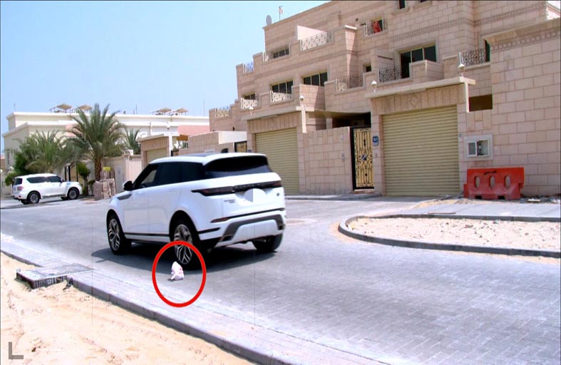 شرطة أبوظبي تخالف 170 سائقا بسبب إلقاء مخلفات بالطريق أثناء القيادة