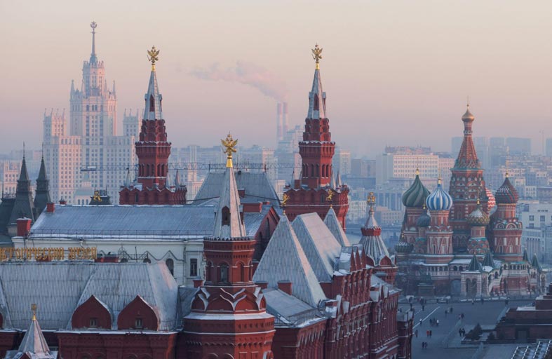 إزفيستيا: القطط وأشجار السنديان في روسيا مذنبة أيضاً!