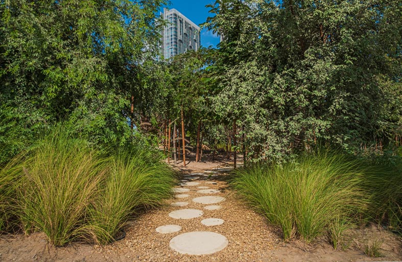 دائرة الثقافة والسياحة – أبوظبي تمنح حديقة الفيّ شهادة Go Safe