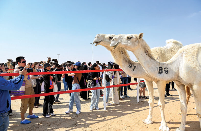 المحطة الختامية من مهرجان الظفرة تنطلق اليوم في مدينة زايد