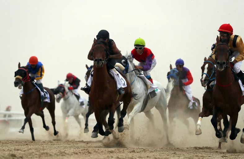 600 جائزة تحتفي بالتراث والثقافة ضمن مهرجان الظفرة 2020