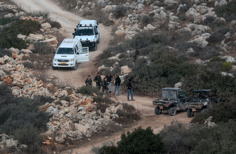 مزارعو الضفة الغربية يجمعون  الزيتون وسط هجمات المستوطنين