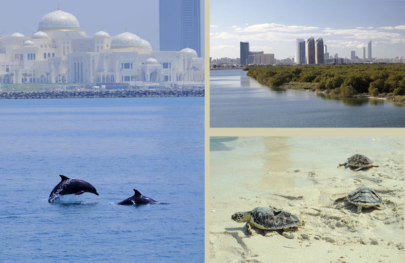 اختيار أبوظبي عاصمة للبيئة العربية لعام 2023