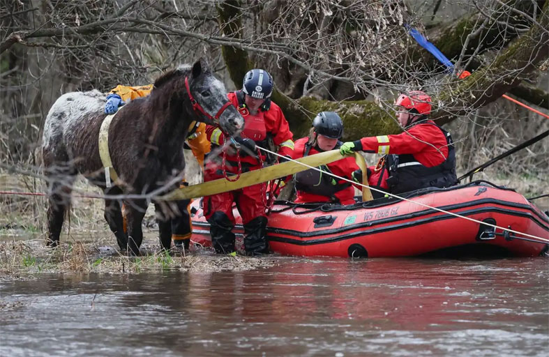  إنقاذ حصان عالق وسط الفيضانات
