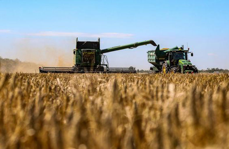 روسيا تعلق اتفاق تصدير الحبوب بعد هجوم القرم 