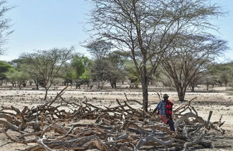 تحركات عربية ودولية لصد «الكارثة المزدوجة» في الصومال