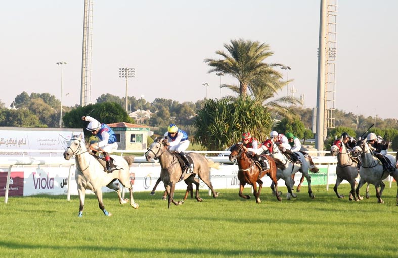 «أبوظبي للفروسية» يستضيف اليوم السباق الأول في الموسم