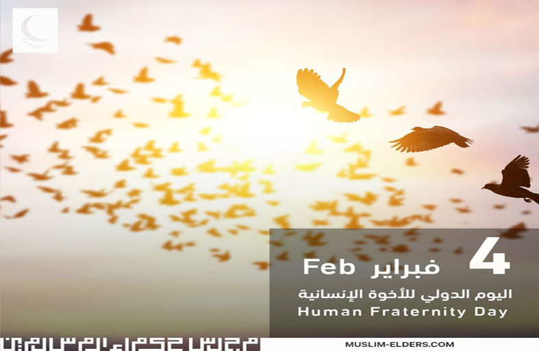 مجلس حكماء المسلمين: وثيقة الأخوة الإنسانية عززت قيم التسامح والتعايش في العالم