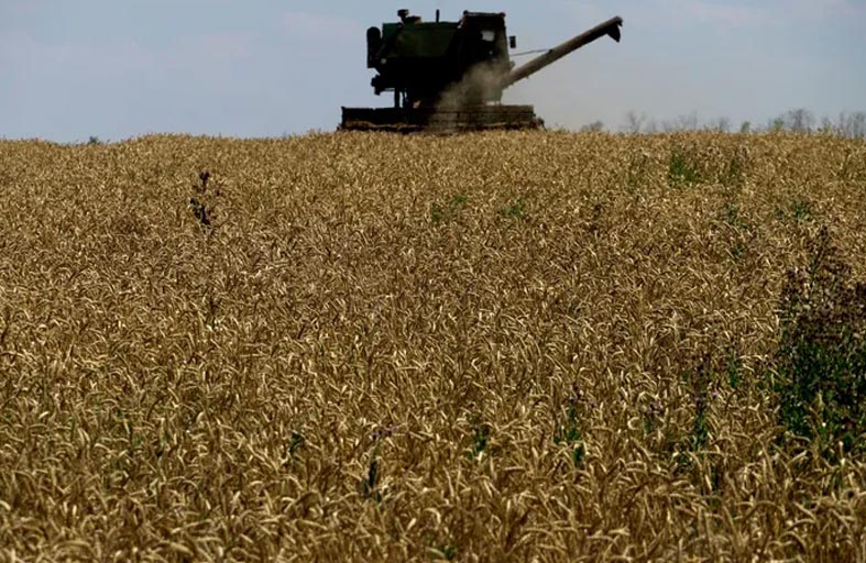 باقي أسبوعان.. ما مصير اتفاقية الحبوب الأوكرانية الروسية؟