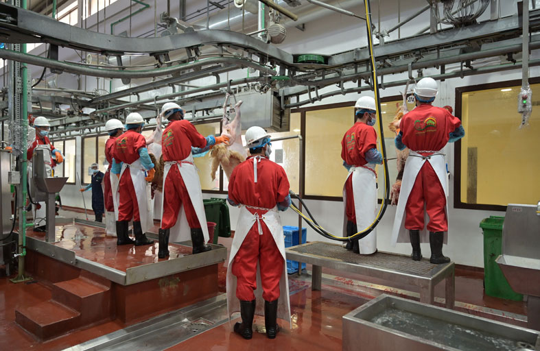 بلدية مدينة أبوظبي تهيب بالمجتمع عدم التعامل مع القصابين الجائلين أو تجهيز الذبائح في المرافق العامة والشوارع والمنازل  