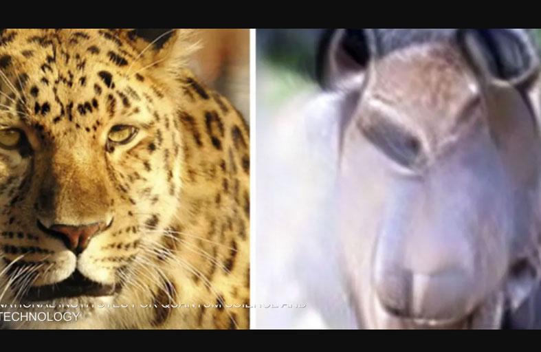 علماء يابانيون ينتجون أول صورة ذهنية في العالم