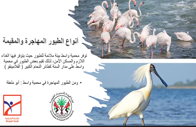  ناشئة الشارقة  في جولة افتراضية مع الطيور في سماء الإمارات 