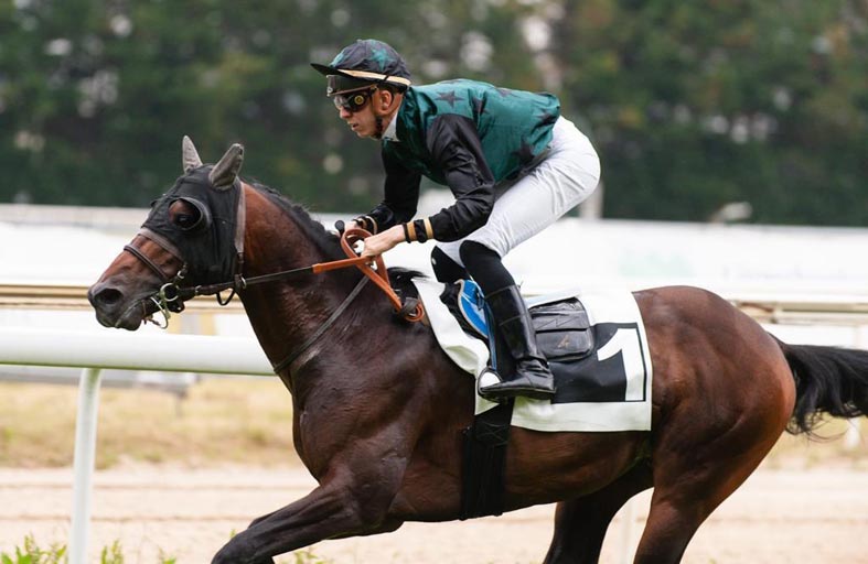 الجواد «إيشان» يتوج بكأس فاطمة بنت مبارك للخيول العربية في إسبانيا