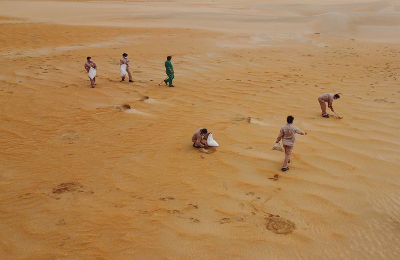 بلدية منطقة الظفرة تبدأ نثر بذور نباتات البيئة المحلية 