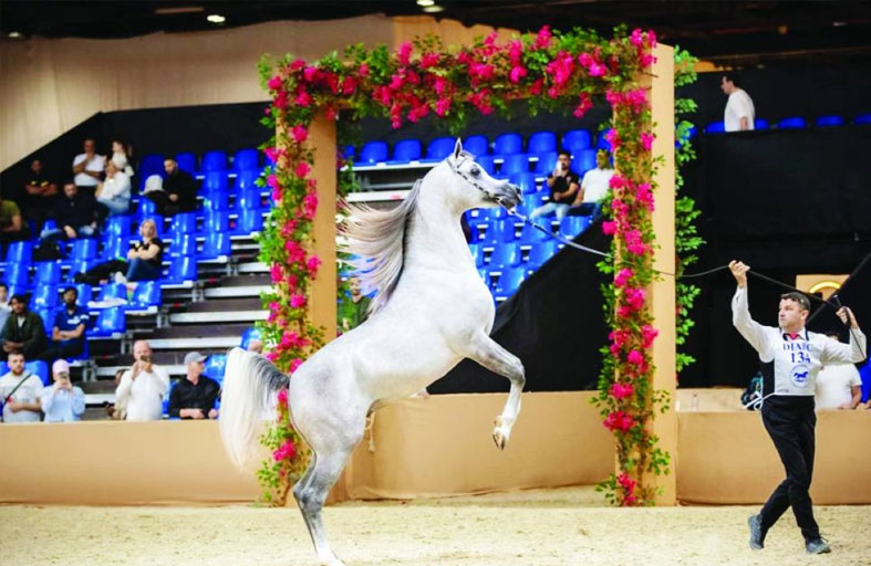 إعلان قائمة حكام بطولة دبي الدولية للجواد العربي في نسختها الـ23