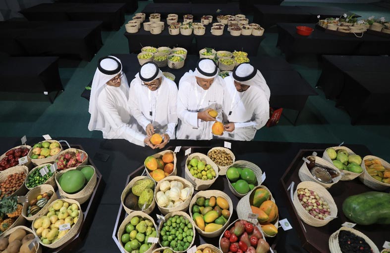 مهرجان ليوا للرطب .. يحتفي بموسم خرف الرطب ويروج لمنتجات النخيل