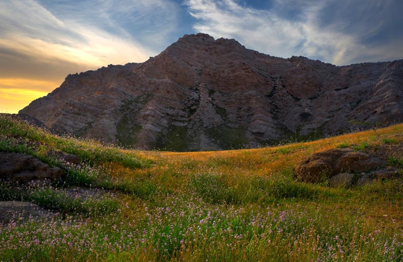 الإمارات تقدم أجمل شتاء في العالم بطقسها المعتدل والدافئ وكنوزها الطبيعية والثقافية