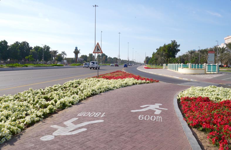 بلدية مدينة أبوظبي تزرع 3 ملايين و710 آلاف زهرة شتوية في جزيرة أبوظبي والبر الرئيسي